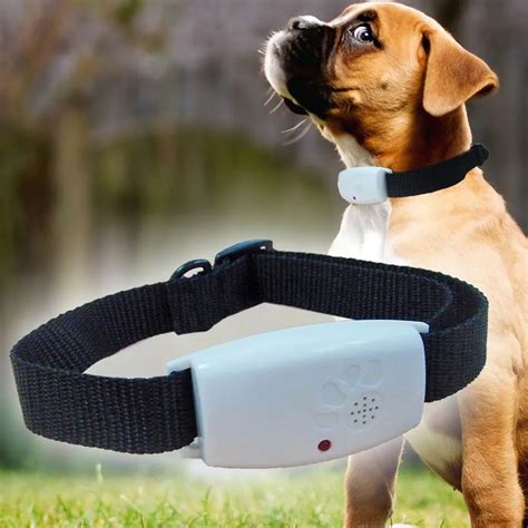 Ultrasonic Adjustable Dog Collar Anti Flea & Tick Pest Lice Electronic ...