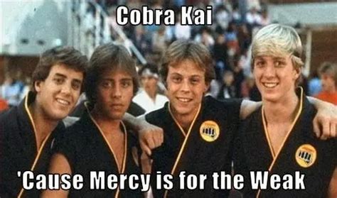 A Collection Of The Best & Funniest Cobra Kai Memes