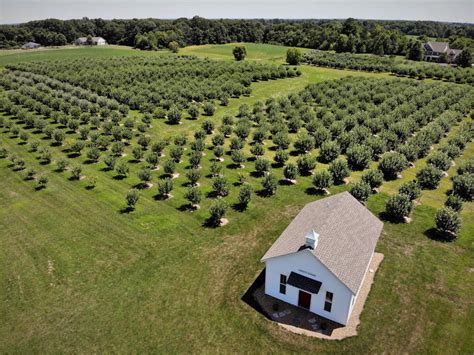 Liberty Apple Orchard offers a variety of apples perfect for pies ...