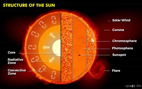 Nuclear Fusion In The Sun Diagram