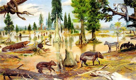 Eocene Epoch | Paleontology World