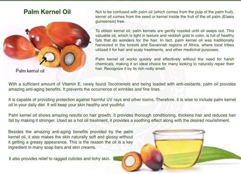 REFINED PALM KERNEL OIL | Ariyan International Inc.