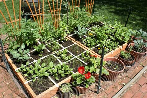 12 Inspiring Square Foot Gardening Plans-Ideas For Plant Spacing – The ...