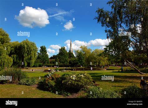 England, Wiltshire, Salisbury, Cathedral spire seen across public park ...