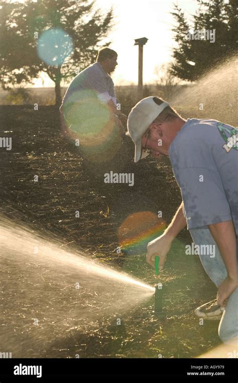 Adjusting sprinkler heads after installation Stock Photo - Alamy