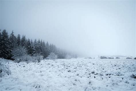 20+ Ardennes Fog Landscape Winter Stock Photos, Pictures & Royalty-Free ...