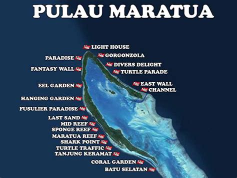 Dive Maratua | Scuba Junkie Sangalaki