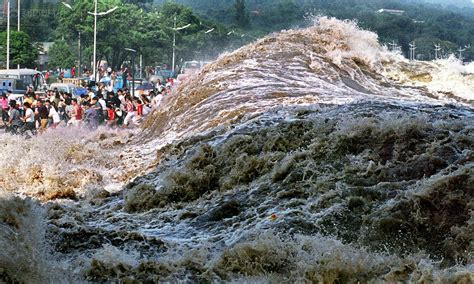 PHOTOS: Risking life and limb to see (and surf) the world's largest ...