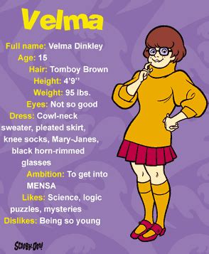 Scooby Doo Velma | Scattered Joy: Part I - My Sister is Velma Dinkley ...