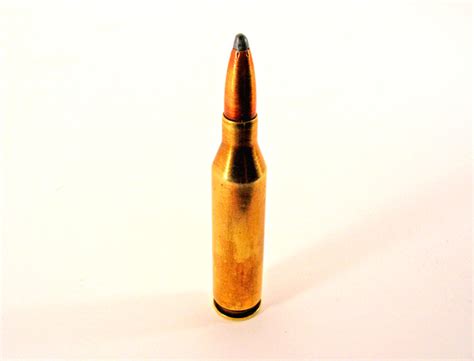 Free one bullet 1 Stock Photo - FreeImages.com