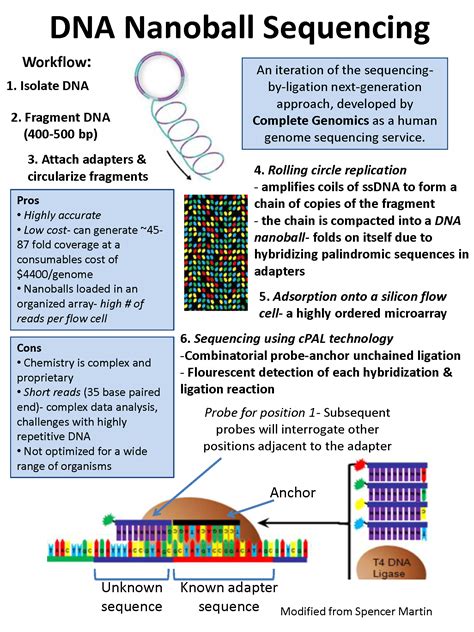 The Dheilly Lab | Teaching