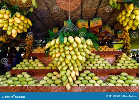 Mango Festival. Stand With Fresh Yellow Mango Fruits In The Street ...