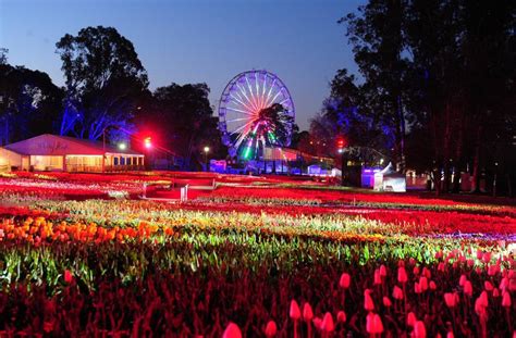 External company hired to run Floriade this year after blowout | The ...