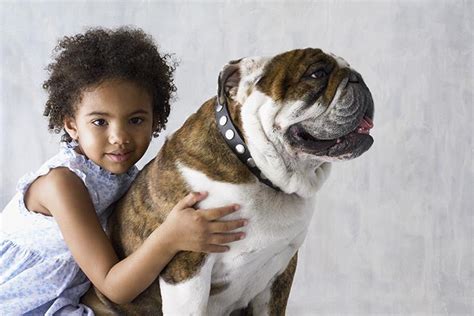 What are the top 10 family dogs? Essential Tips – KeepingDog