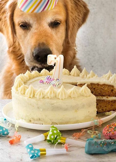 Dog Cake recipe for Dozer's birthday! | RecipeTin Eats