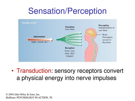 Transduction Psychology: The Mysterious World of Perception