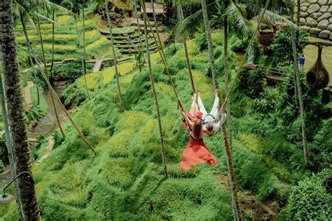 Giant Jungle Swing Bali | Bruin Blog