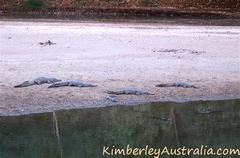 Windjana Gorge National Park, Kimberley, Western Australia