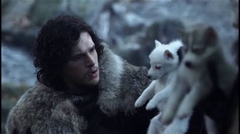 Game Of Thrones Direwolf Pups