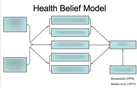 Health Belief Model Diagram | Quizlet