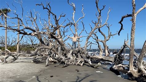 Driftwood Beach | Jekyll Island, Georgia - YouTube