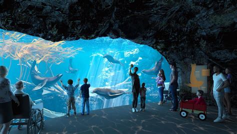 Henry Doorly Zoo visitors will experience sea lions like never before ...