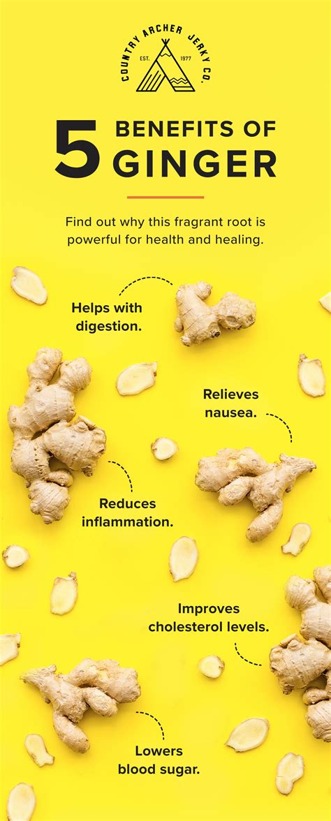 5 Benefits of Eating Ginger – Country Archer Provisions