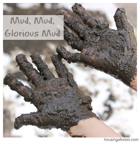 Mud, Mud, Glorious Mud | Housing a Forest