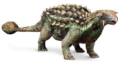 Ankylosaurus Facts For Kids | DK Find Out