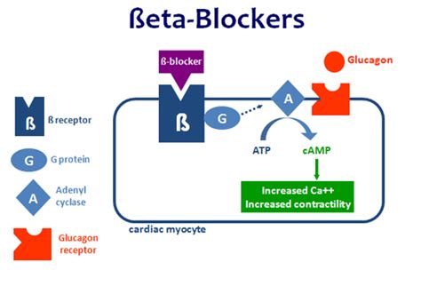 Case of the Month: Beta Blocker Overdose – Curbside Consult