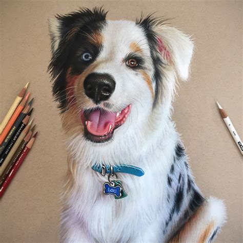 dog colour pencil drawing - Seriously Column Slideshow