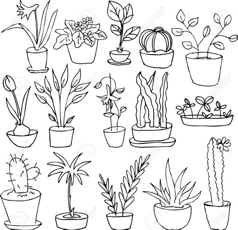 Fern Line Drawing at GetDrawings | Free download