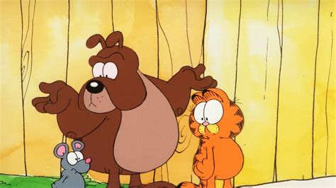 Watch Garfield And Friends Season 1 Episode 16 : Identity Crisis ...