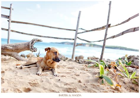 Stephanie + Stephen | Surfing at Macao Beach, Dominican Republic ...