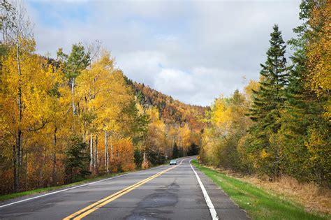 Autumn in Minnesota: Where and When to See the Fall Foliage