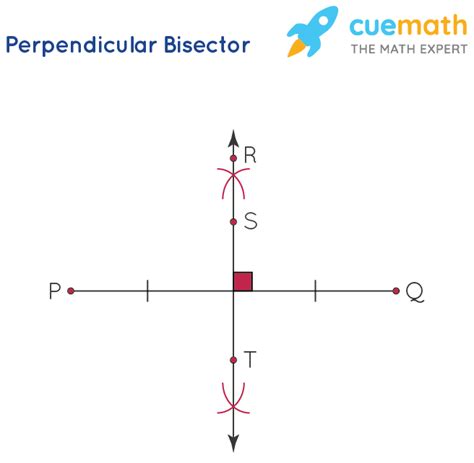 11+ Perpendicular Bisector Worksheet With Answers Pdf - LucilleOshan