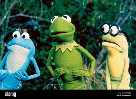 CROAKER, KERMIT, GOGGLES, KERMIT'S SWAMP YEARS, 2002 Stock Photo - Alamy