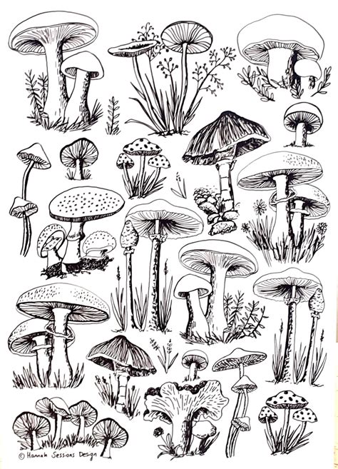 A4 Art Print of Mushroom Drawings Special - Etsy UK