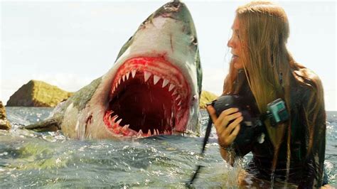 Great White Shark Attacks On Humans Pictures