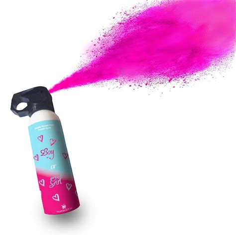 Gender Reveal Fire Extinguisher Color Blasters - Etsy UK