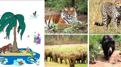 GK Questions and Answers on the India’s Wildlife Conservation Projects