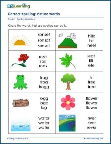 Identify correct spellings worksheets | K5 Learning