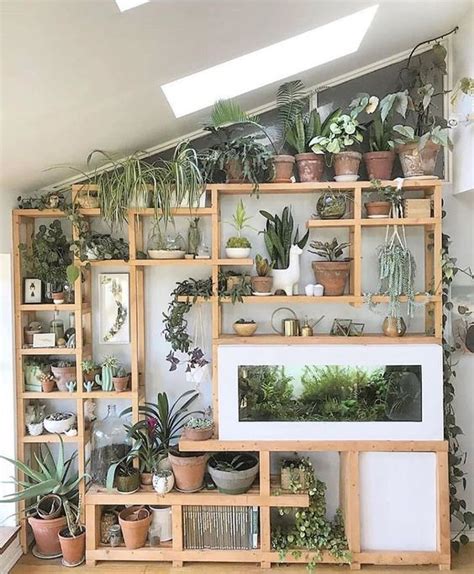 Plant Shelf Ideas: 35+ Creative Ways To Display Plants | Indoor plant ...