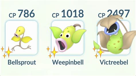 SHINY BELLSPROUT Evolution Line in Pokemon Go PvP. - YouTube