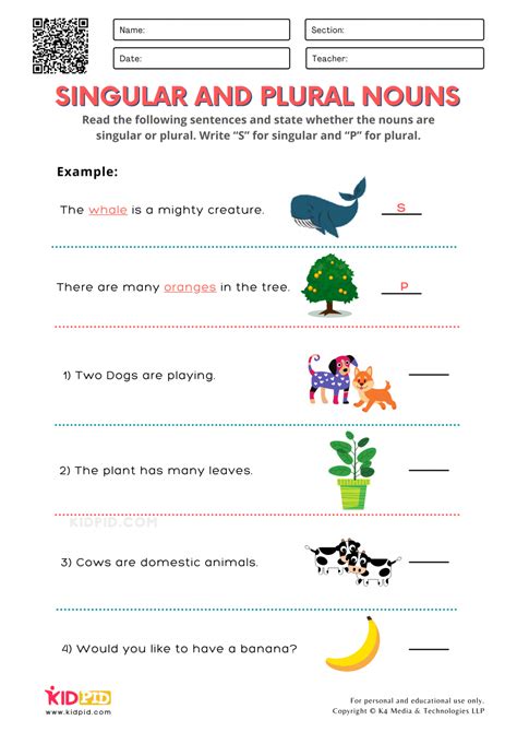 Nouns Plural And Singular Worksheets