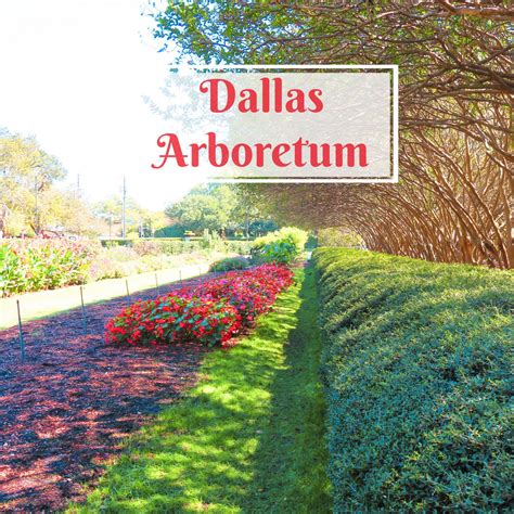 Dallas Arboretum – Dorworth Adventures