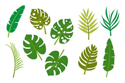 Tropical Palm Leaves Green Vector Graphic by herubintang24 · Creative ...