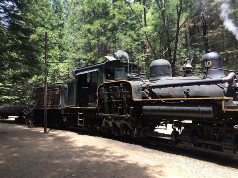 Yosemite Mountain Sugar Pine Railroad — The Last Adventurer