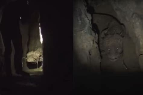 Is the Cave Wyrm Video Real or Fake? Viral Tiktok Clip Leaves Netizens ...