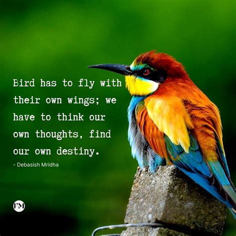 56 Best Bird Quotes for best examples of inspiration | Bird, Bird ...